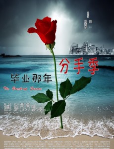 毕业那年分手季