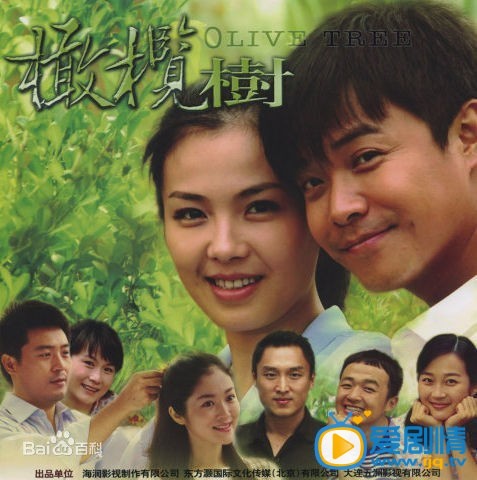 电视剧橄榄树剧情介绍