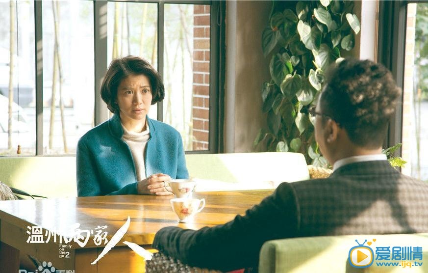 温州两家人剧情介绍(1-36集大结局)