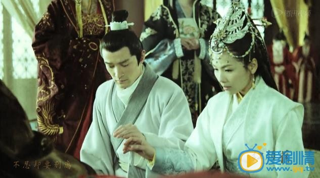 琅琊榜剧情介绍(1-54集大结局)