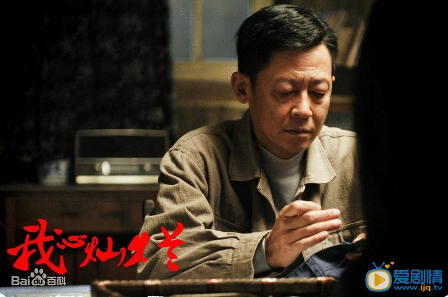 我心灿烂剧情介绍(1-35集大结局)