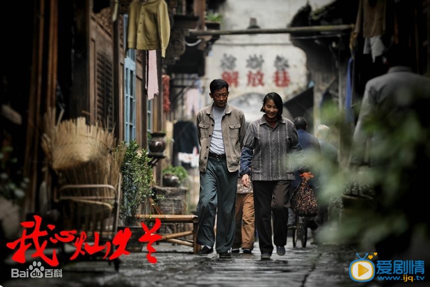 我心灿烂剧情介绍(1-35集大结局)