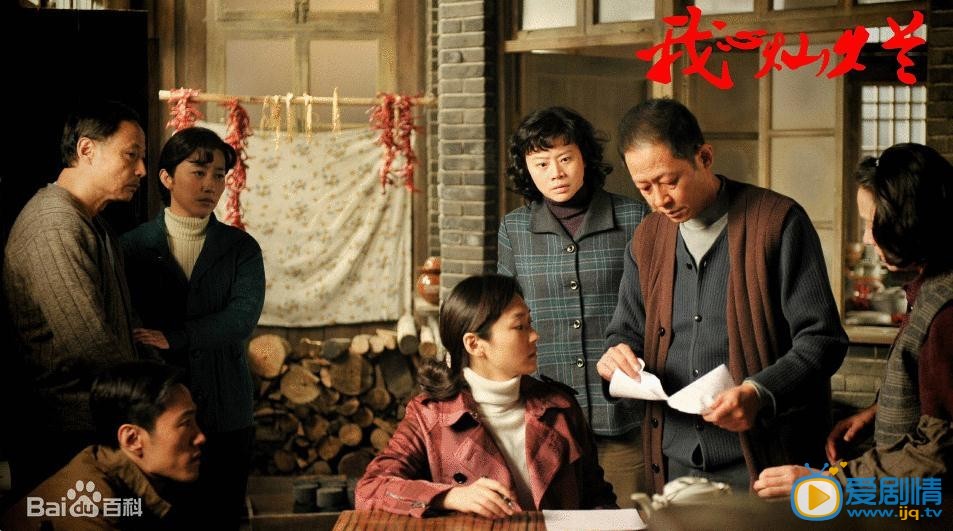 我心灿烂剧情介绍(1-35集大结局)