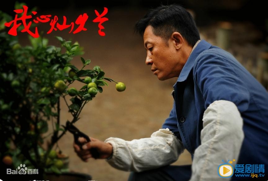 我心灿烂剧情介绍(1-35集大结局)