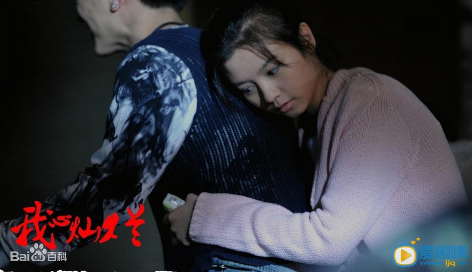 我心灿烂剧情介绍(1-35集大结局)