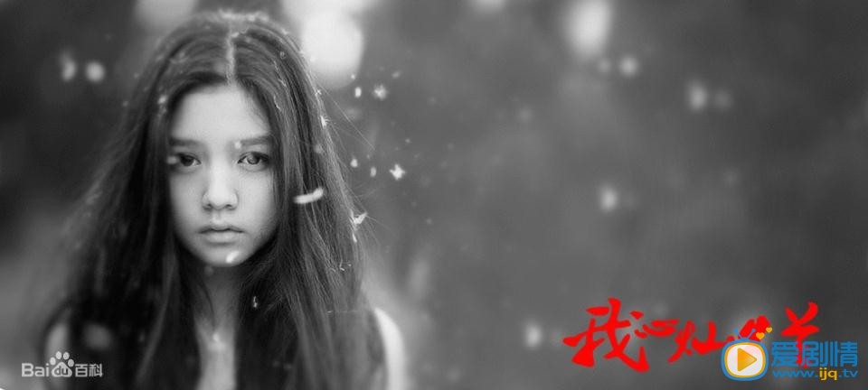 我心灿烂剧情介绍(1-35集大结局)