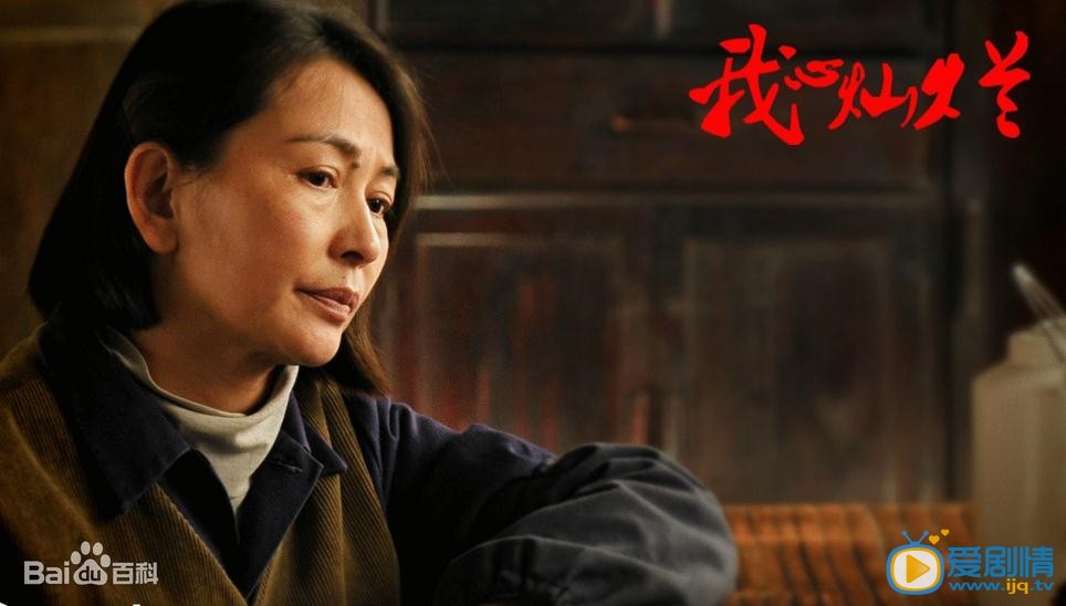 我心灿烂剧情介绍(1-35集大结局)