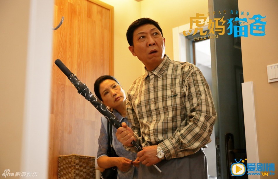 虎妈猫爸剧情介绍(1-45集大结局)