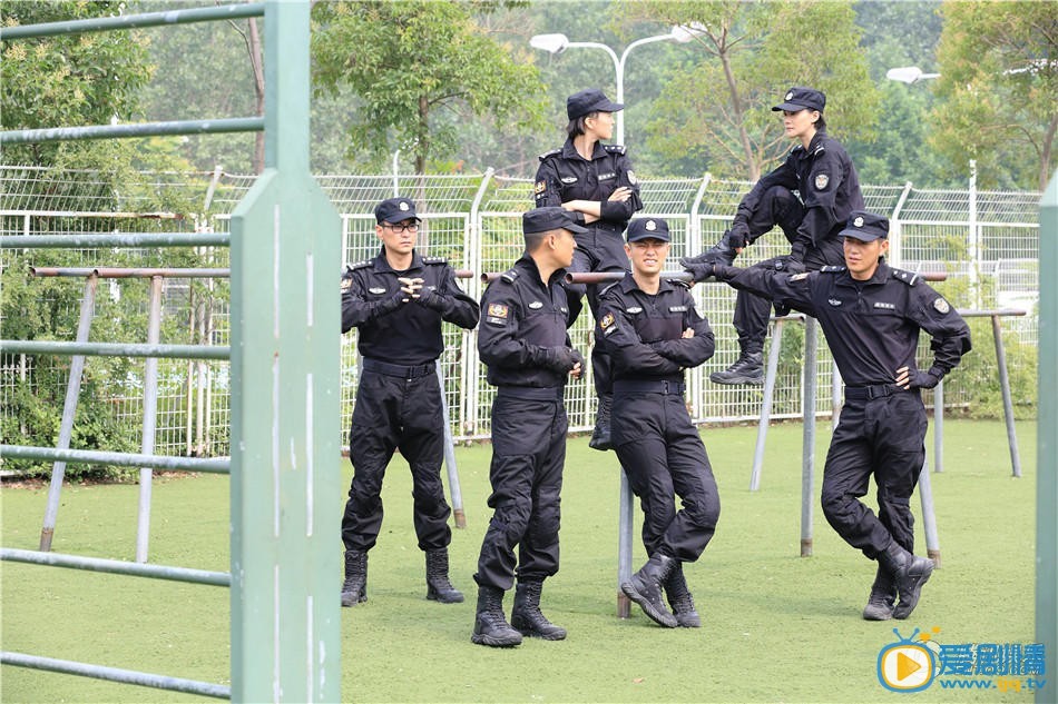 特警力量剧情介绍(1-51集大结局)