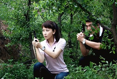 清网行动剧情介绍(1-32集大结局)