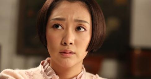 红狐行动剧情介绍(1-32集大结局)