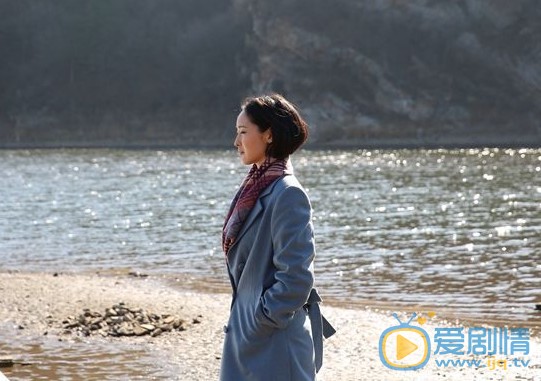 怒放剧情介绍(1-37集大结局)