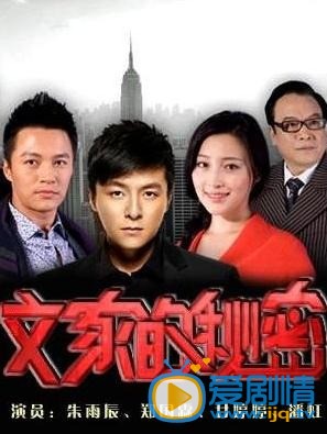 文家的秘密剧情介绍(1-30集大结局)