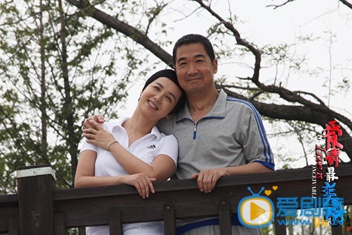 爱情最美丽剧情介绍(1-40集大结局)
