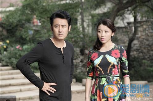 马向阳下乡记剧情介绍(1-40集大结局)