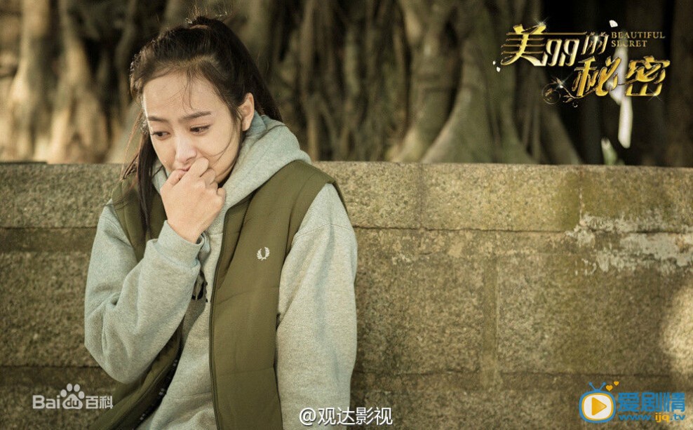 美丽的秘密剧情介绍(1-45集大结局)