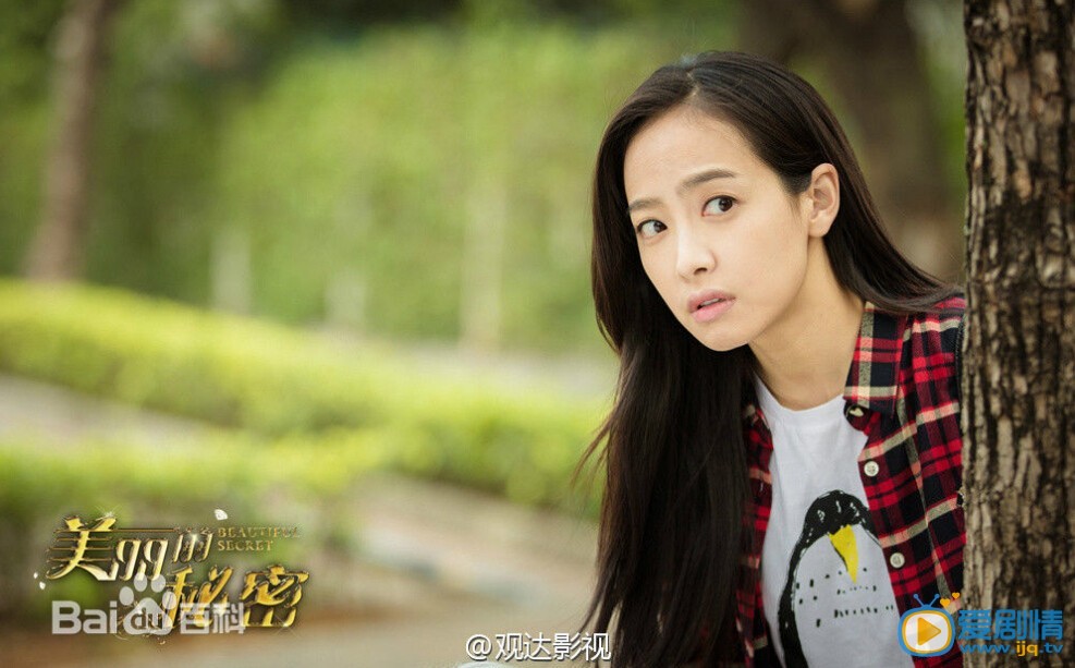 美丽的秘密剧情介绍(1-45集大结局)