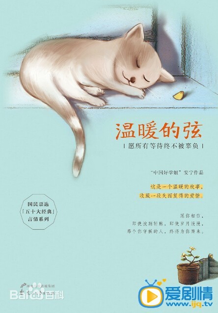 温暖的弦剧情介绍(1-45集大结局)