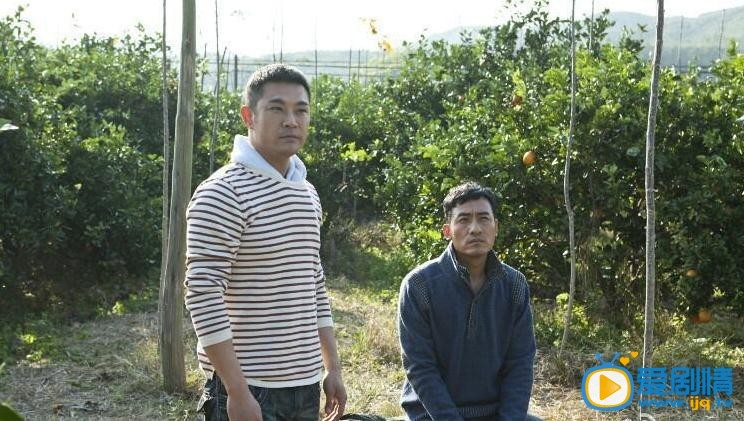 永不褪色的家园剧情介绍(1-29集大结局)