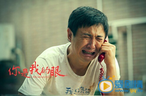 你是我的眼剧情介绍(1-36集大结局)
