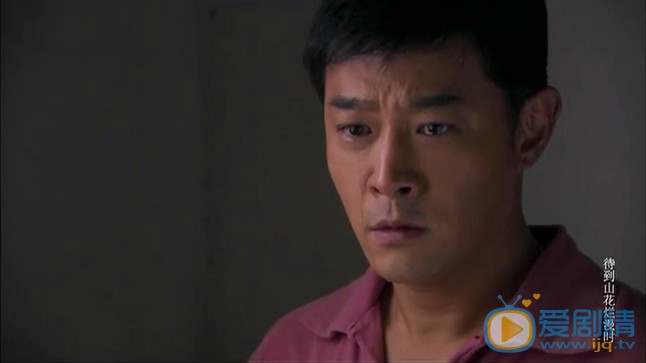 待到山花烂漫时剧情介绍(1-40集大结局)