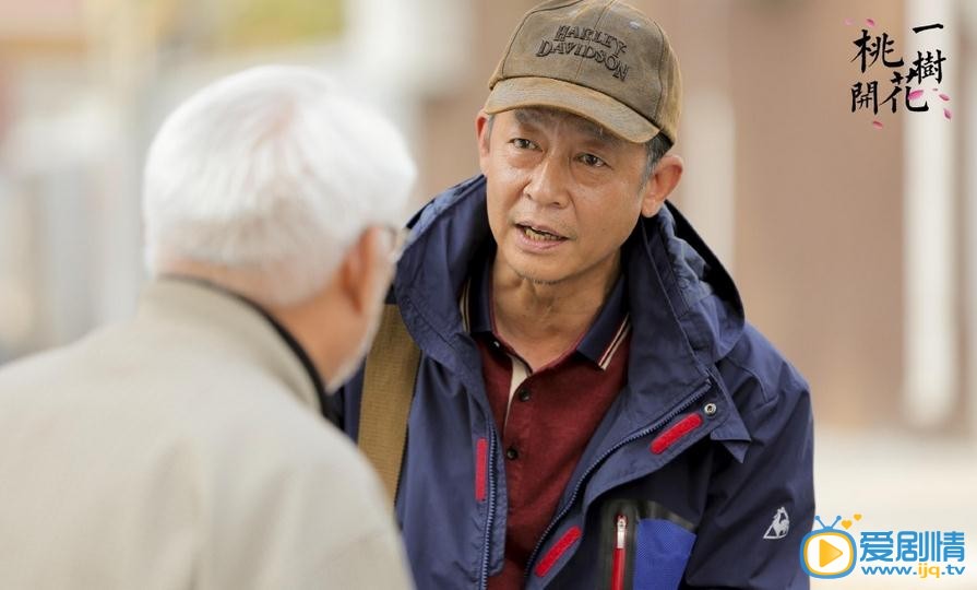 一树桃花开剧情介绍