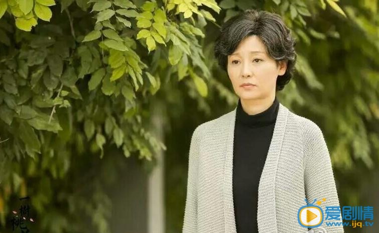 一树桃花开剧情介绍