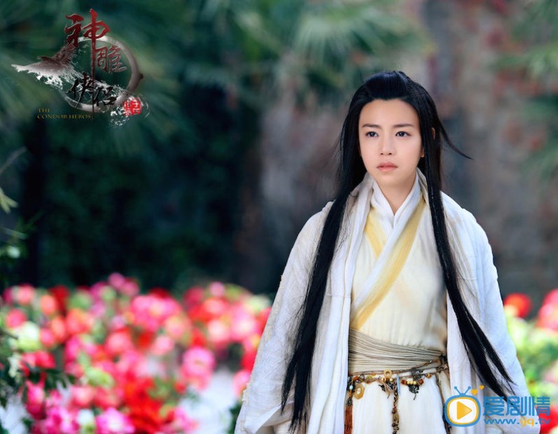 新神雕侠侣剧情介绍(1-52集大结局)