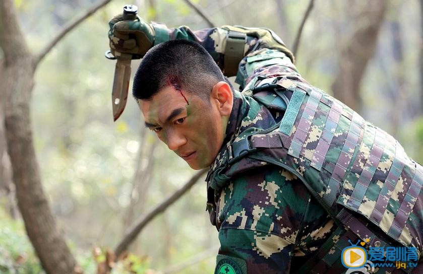 我是特种兵之霹雳火剧情介绍(1-45集大结局)