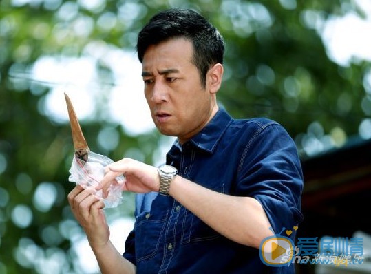 刑警队长 剧情介绍(1-36集大结局)