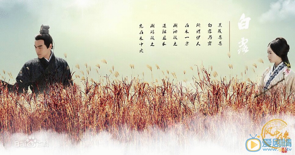 风中奇缘剧情介绍(1-36集大结局)