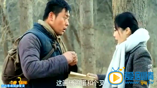 燃烧剧情介绍(1-33集大结局)