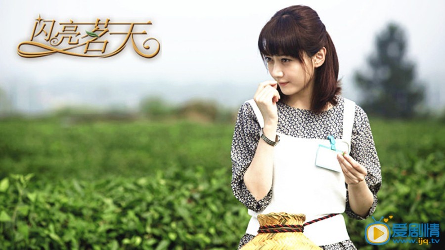闪亮茗天剧情介绍(1-86集大结局)