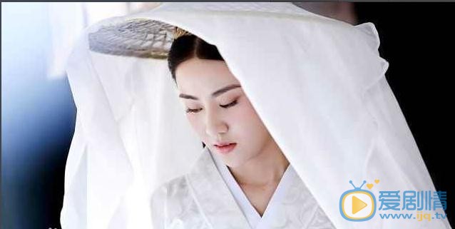 卫子夫剧情介绍(1-38集大结局)