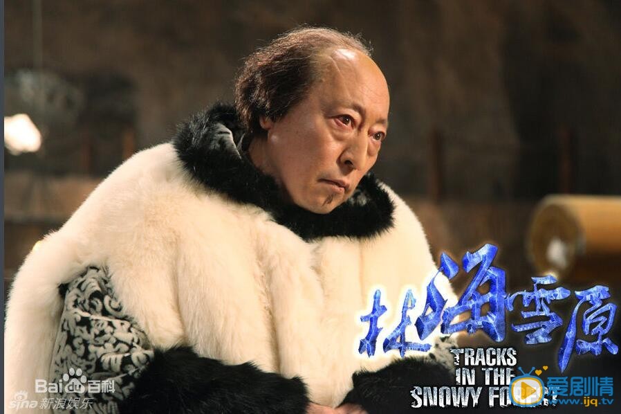 林海雪原剧情介绍(1-50集大结局)