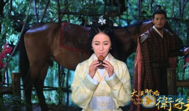 卫子夫剧情介绍(1-38集大结局)