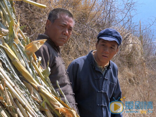 老农民剧情介绍(1-62集大结局)