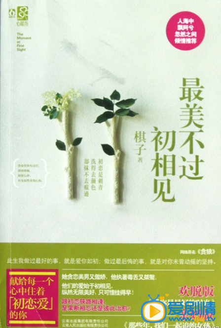 最美不过初相见海报