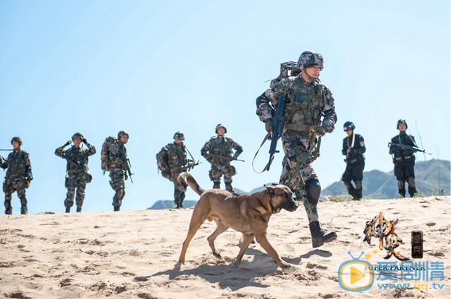 神犬奇兵剧情介绍(1-37集大结局)