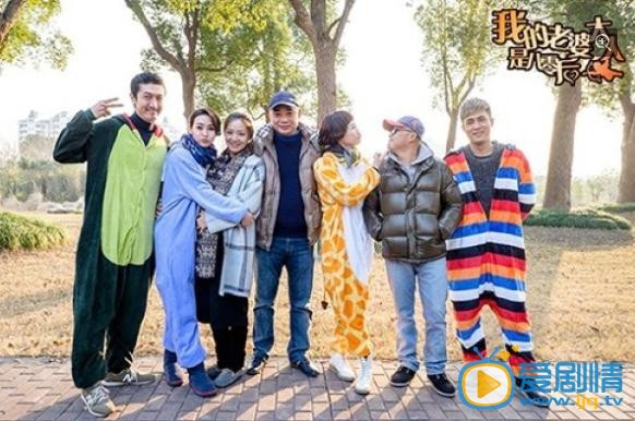  我的老婆大人是八零后剧情介绍