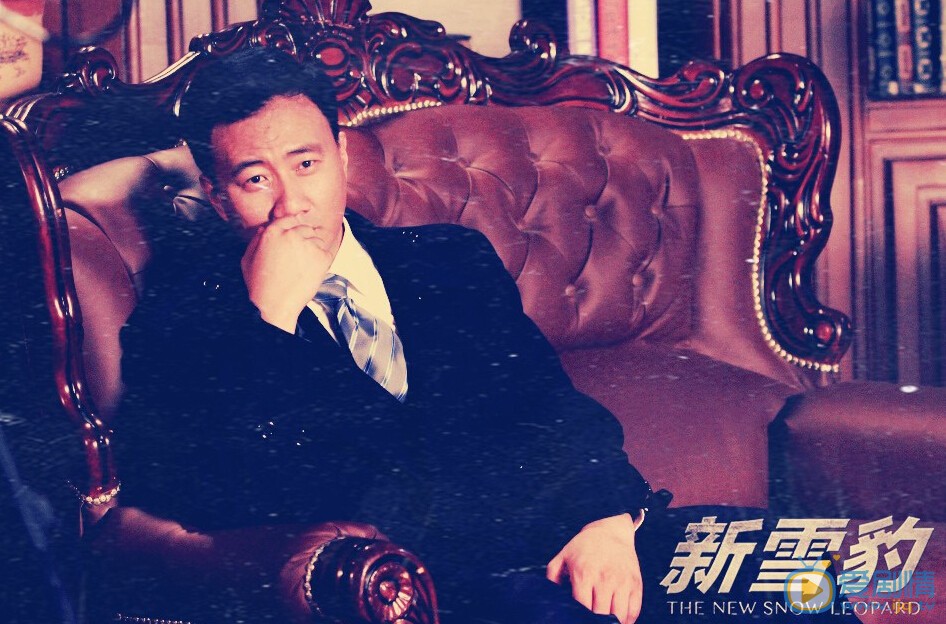 雪豹坚强岁月剧情介绍(1-46集大结局)