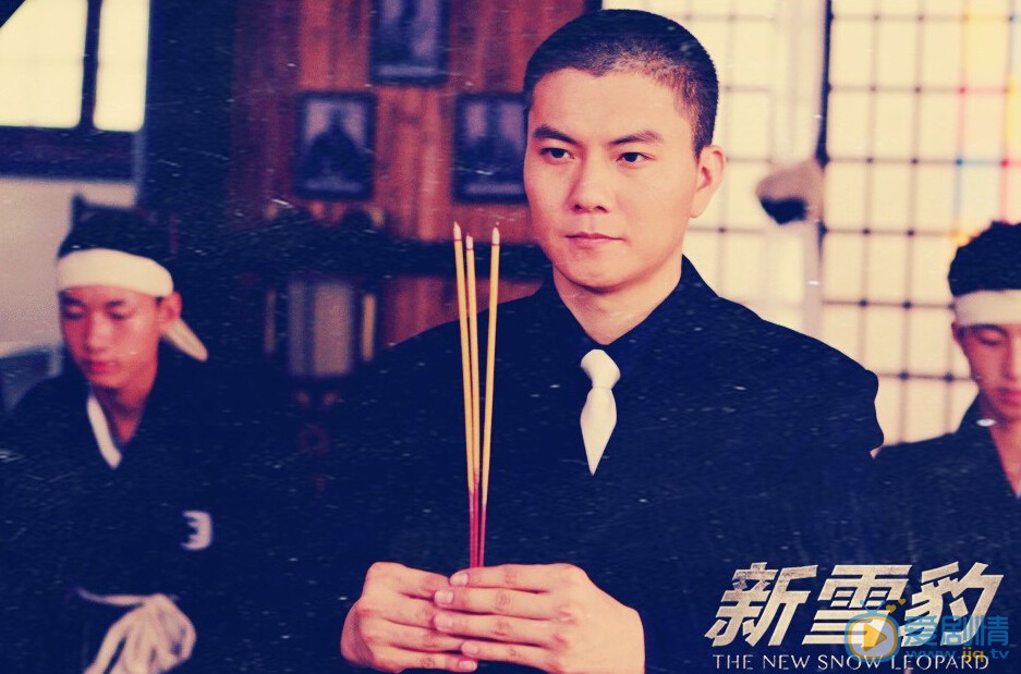 雪豹坚强岁月剧情介绍(1-46集大结局)