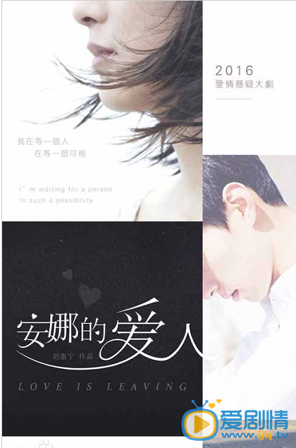 安娜的爱人海报
