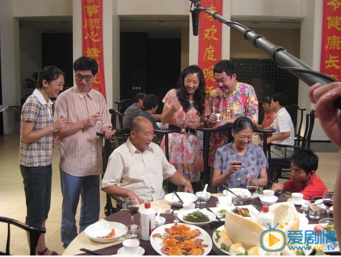 接班女婿剧情介绍