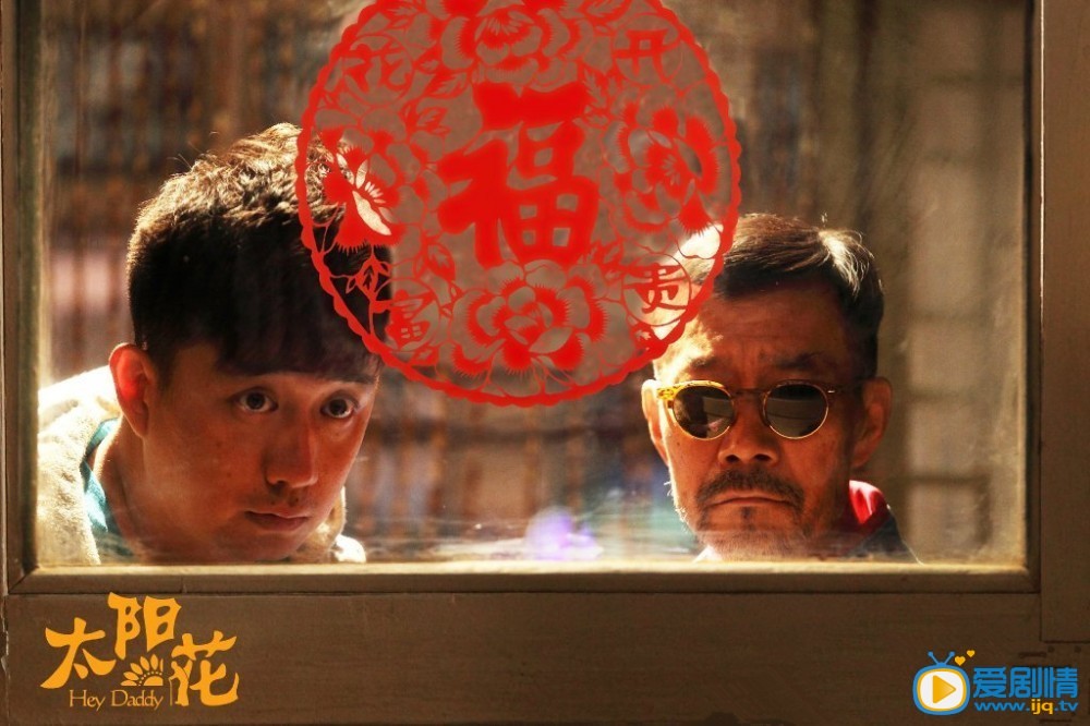 太阳花剧情介绍