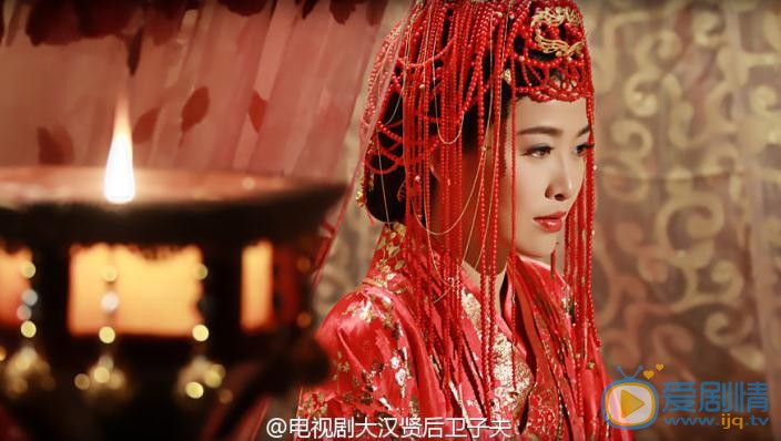 卫子夫剧情介绍(1-38集大结局)