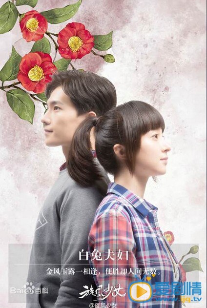 旋风少女2剧情介绍(1-30集大结局)