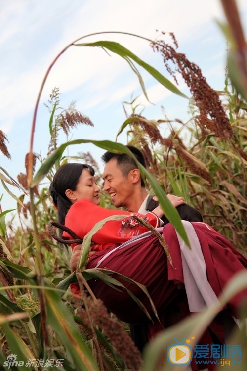 红高粱剧情介绍