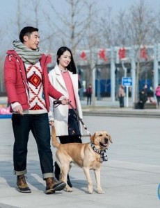 《神犬小七》特异功能之一：察觉癌症勇斗流氓