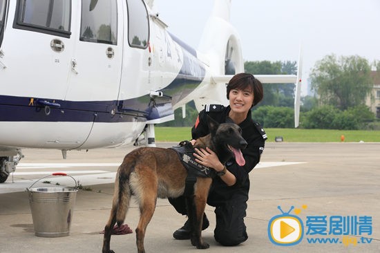 《特警力量》萌犬当道 警犬猎奇走红